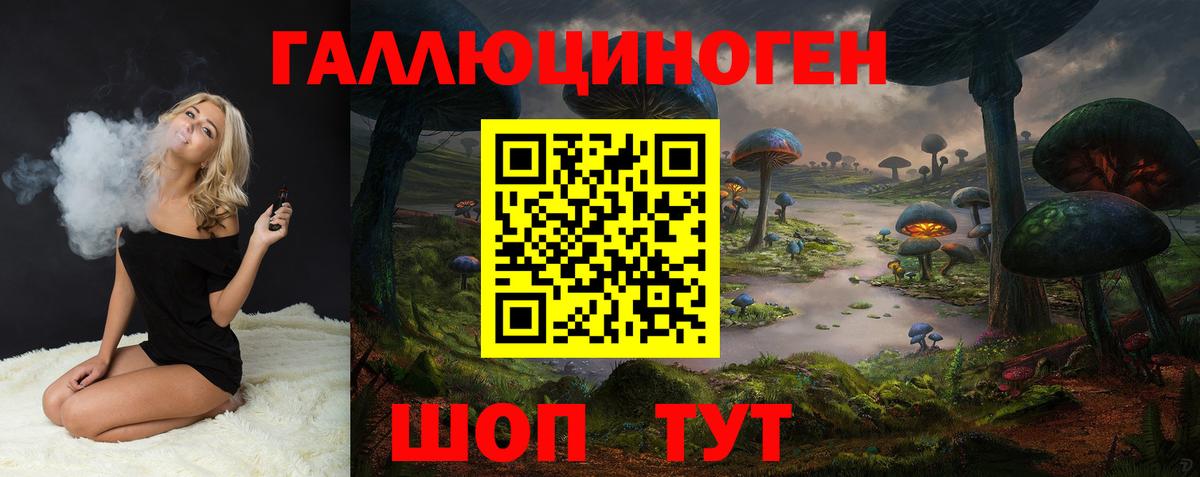 Галлюциногенные грибы Psilocybe Ногинск