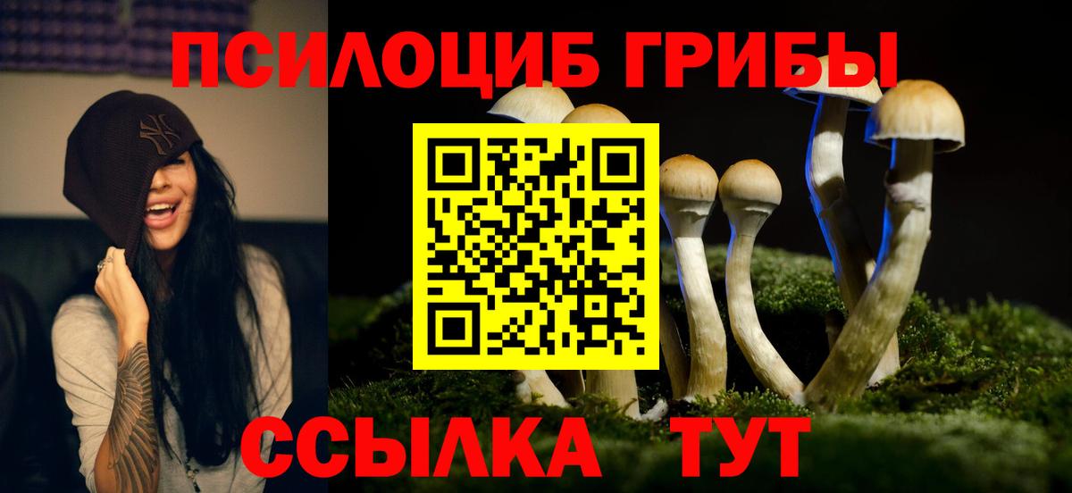 Псилоцибиновые грибы прущие грибы  Вход с VPN  Ногинск  Псилоцибиновые грибы ЛСД 